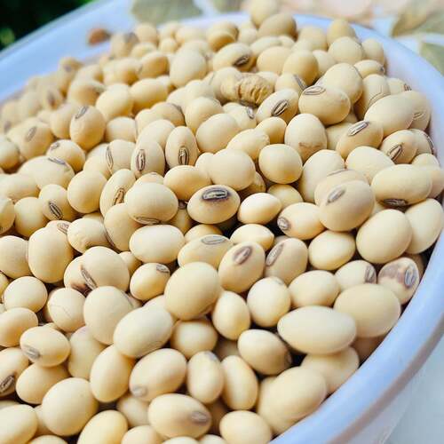Soybeans